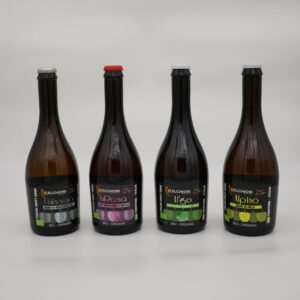 Sidro di Mela 0.50 lt