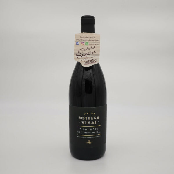 Pinot Nero Bottega Vinai